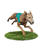 公弈娛樂城白金賽狗